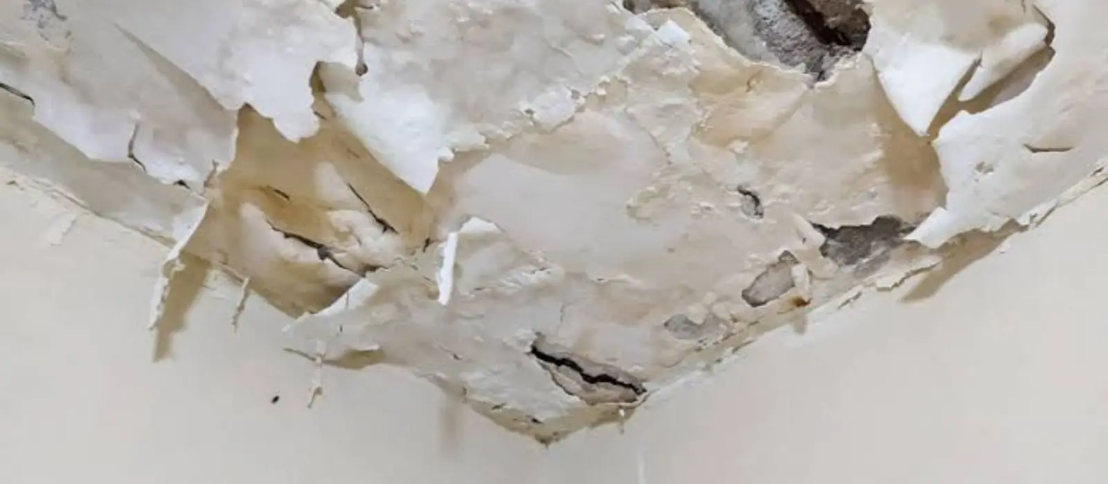 Peeling ceiling paint with brown moisture stains in a corner