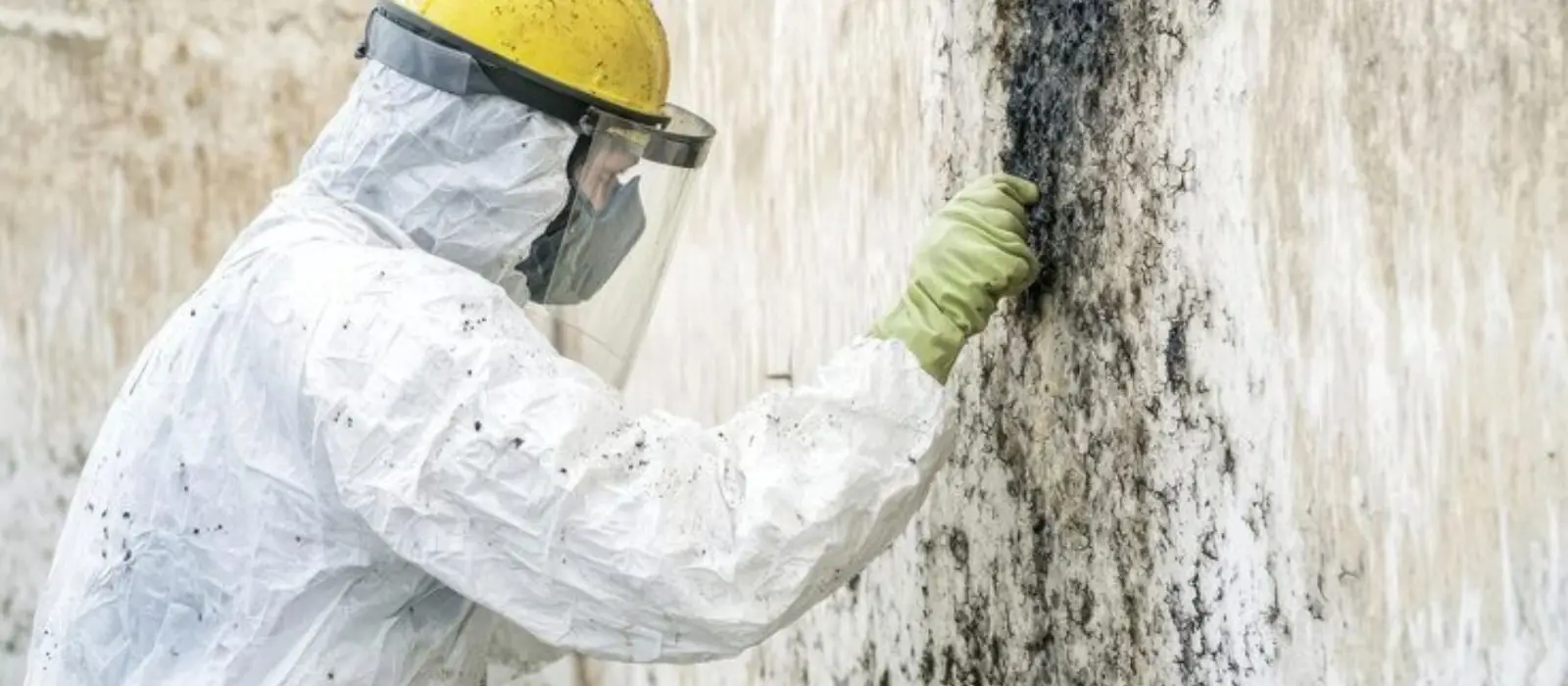 Worker in protective suit, face shield and respirator scrubbing mold from a wall