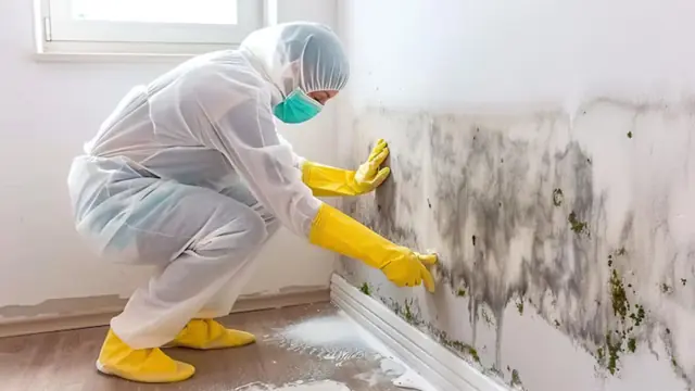 Technician in a protective suit and mask cleaning mold from a wall near the floor
