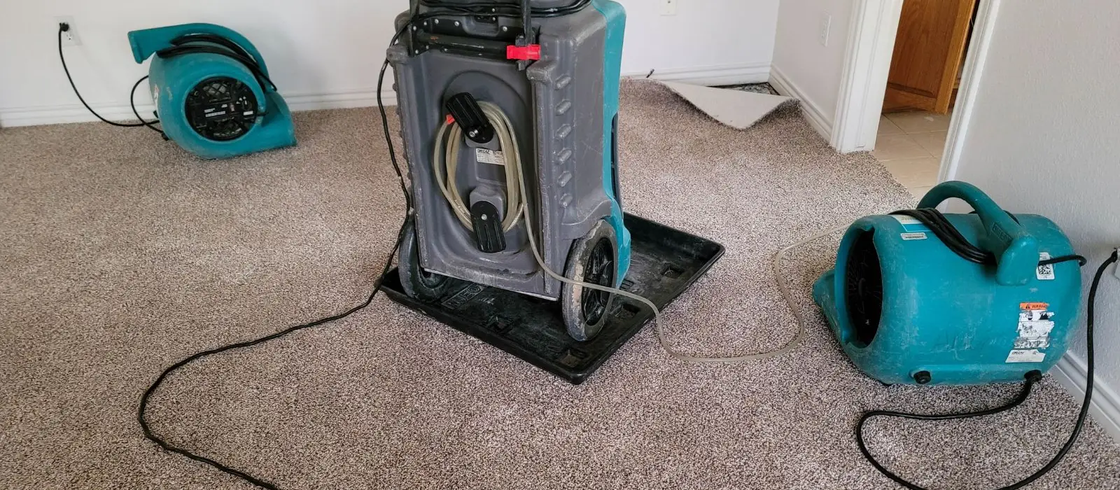 Dehumidifier and air movers drying a carpeted room